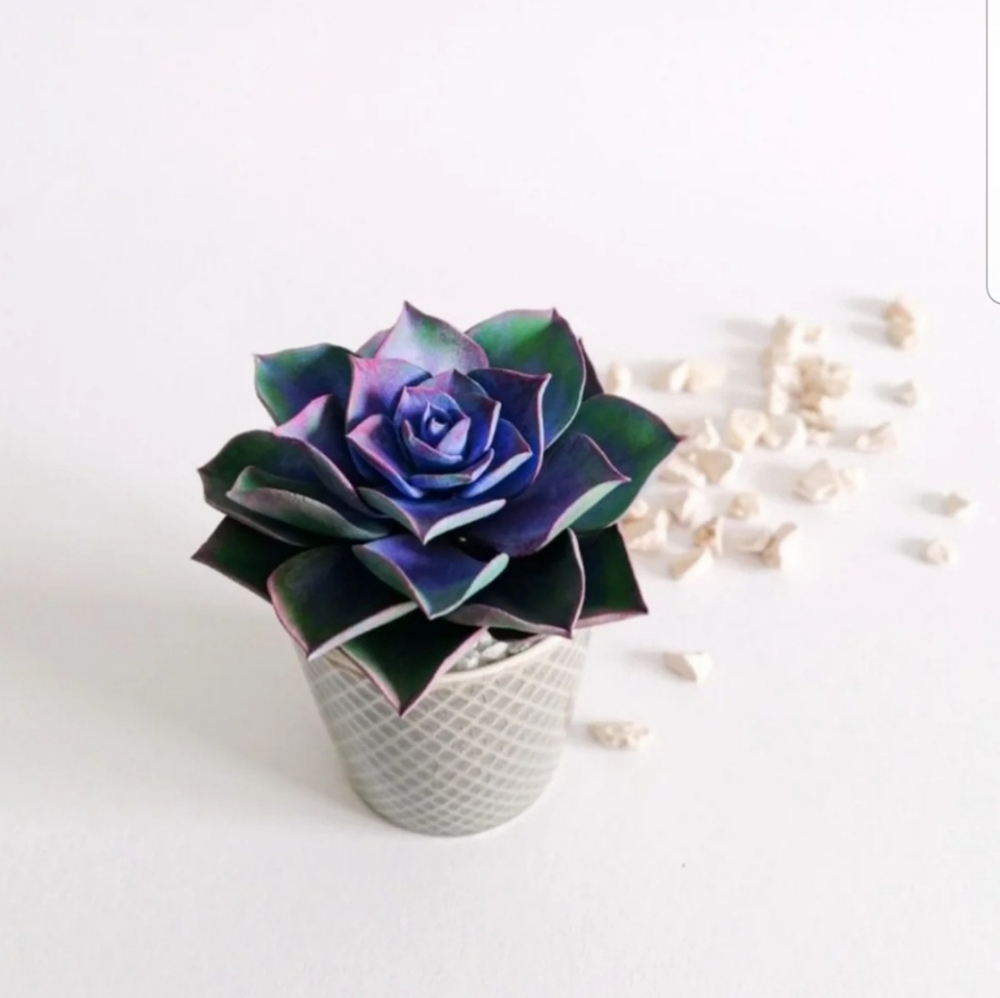 Realistic artificial succulent plant